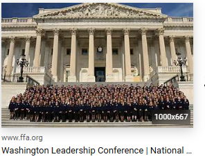 Students on the Capitol steps in Washington, D.C. at the Washington Leadership Conference