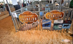 Grand Champion market animal sign at the fair
