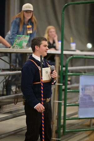 Student competing in showmanship